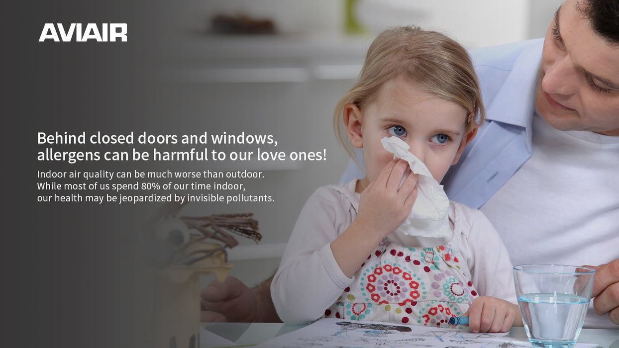 AVIAIR Travo Pur Personal Air Purifier AVP-858ES