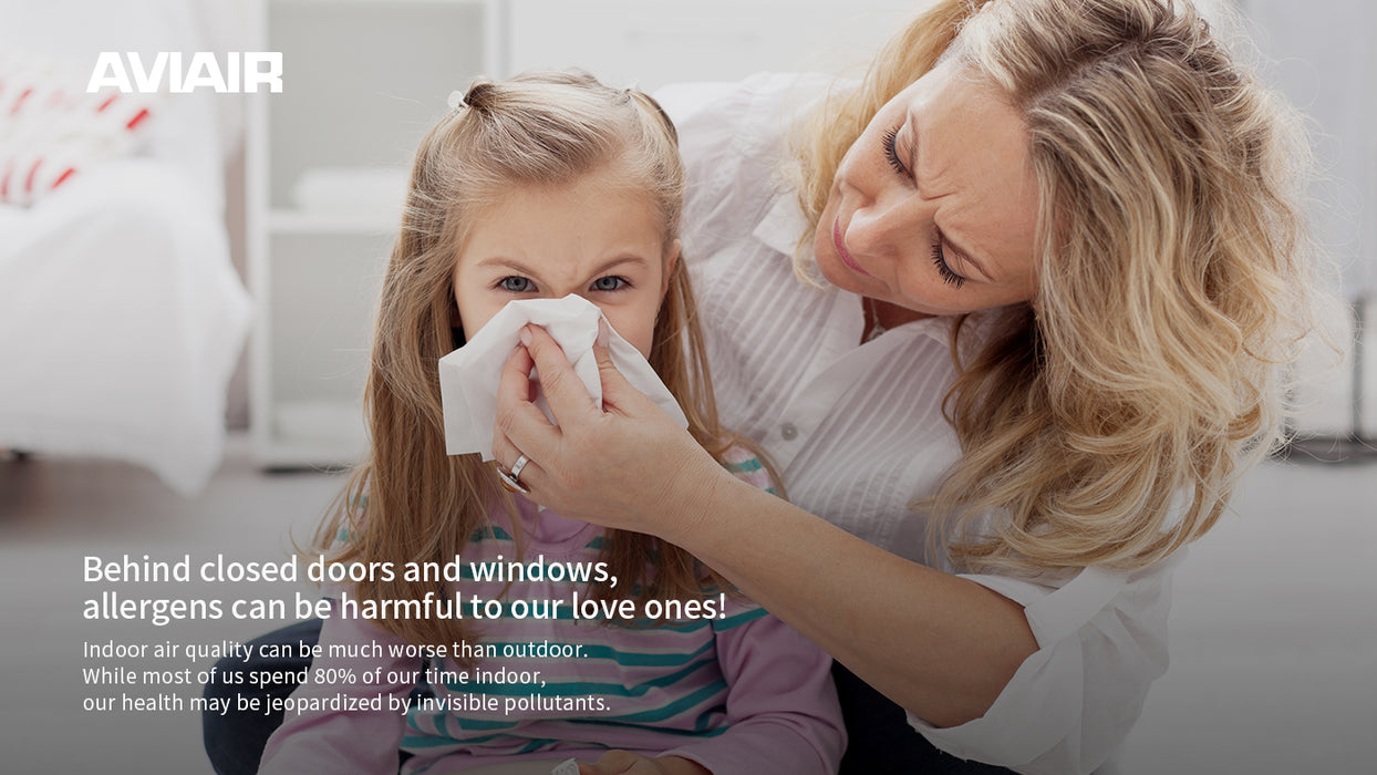 AVIAIR Travo Pur Personal Air Purifier AVP-858RS